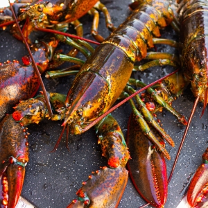 hai-san-tay-ninh-nguon-cung-100-tuoi-song