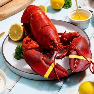 vi-sao-tom-hum-bong-co-gia-thanh-cao-tren-thi-truong