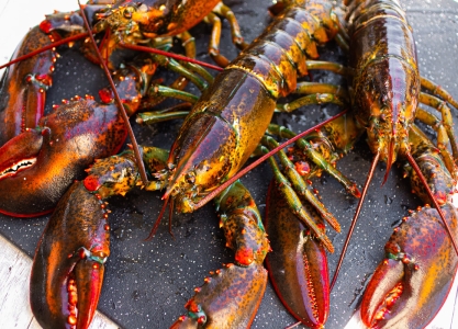 HẢI SẢN TÂY NINH – NGUỒN CUNG 100% TƯƠI SỐNG