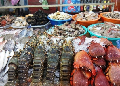 HẢI SẢN TÂY NINH GIÀU DINH DƯỠNG – GỢI Ý MÓN NGON