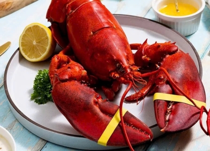 Vì Sao Tôm Hùm Bông Có Giá Thành Cao Trên Thị Trường? 