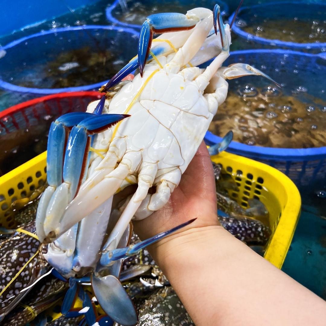 nhà hàng hải sản ngon Tây Ninh