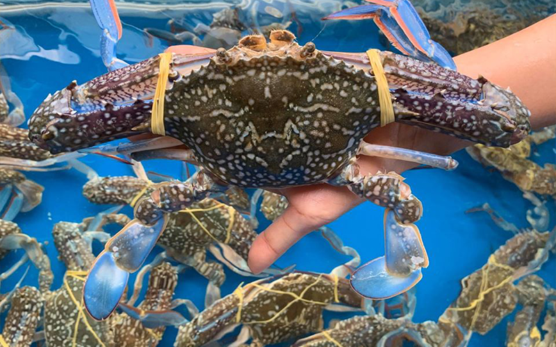 nhà hàng hải sản ngon Tây Ninh